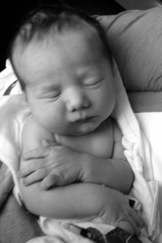 Grandson of Jody (Hopkins) and Gary Barbin